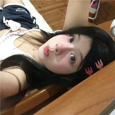 星际狗狗